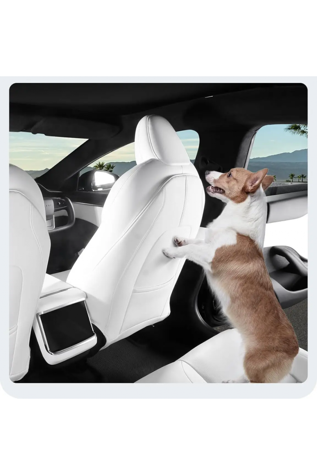 Koltuk Koruyucu Plaka